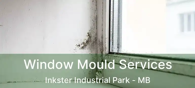  Window Mould Services Inkster Industrial Park - MB