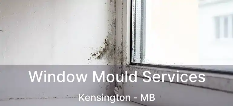 Window Mould Services Kensington - MB