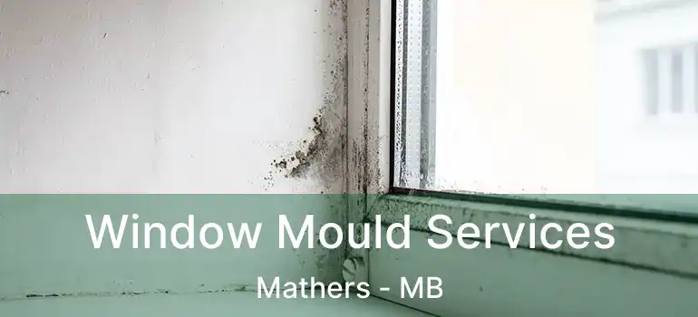 Window Mould Services Mathers - MB