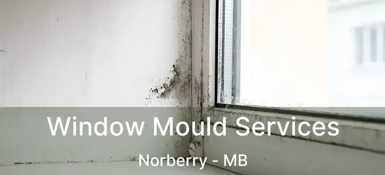 Window Mould Services Norberry - MB