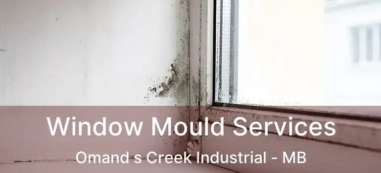 Window Mould Services Omand s Creek Industrial - MB