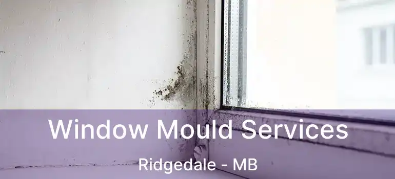 Window Mould Services Ridgedale - MB