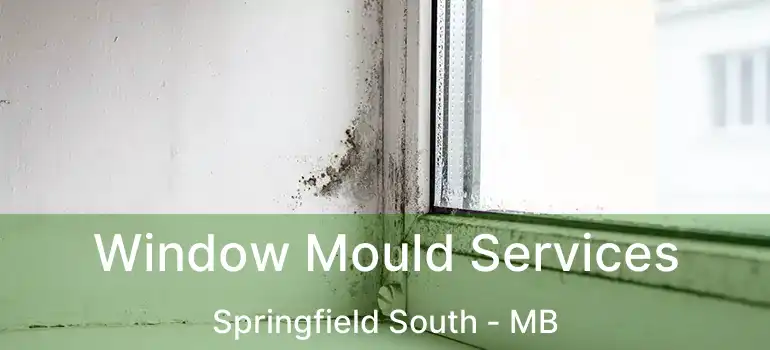  Window Mould Services Springfield South - MB