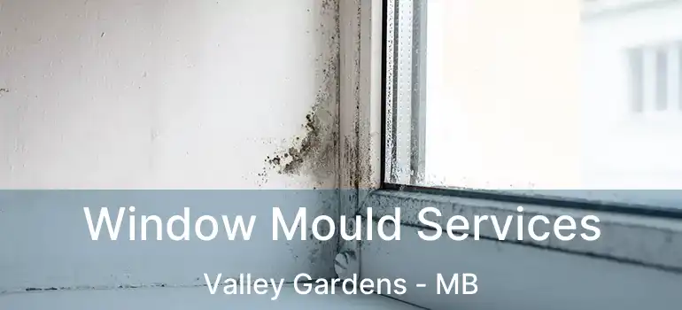 Window Mould Services Valley Gardens - MB