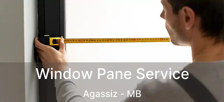  Window Pane Service Agassiz - MB