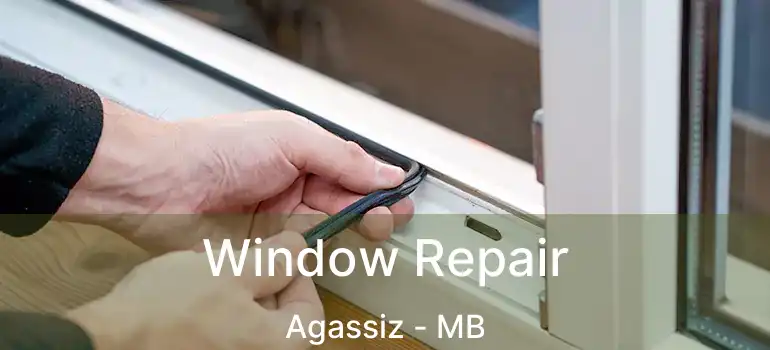 Window Repair Agassiz - MB