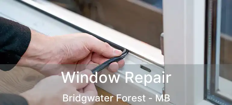  Window Repair Bridgwater Forest - MB