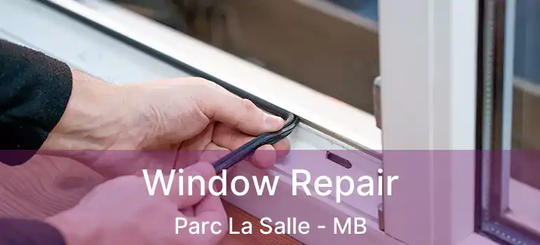  Window Repair Parc La Salle - MB