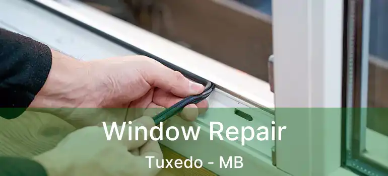 Window Repair Tuxedo - MB