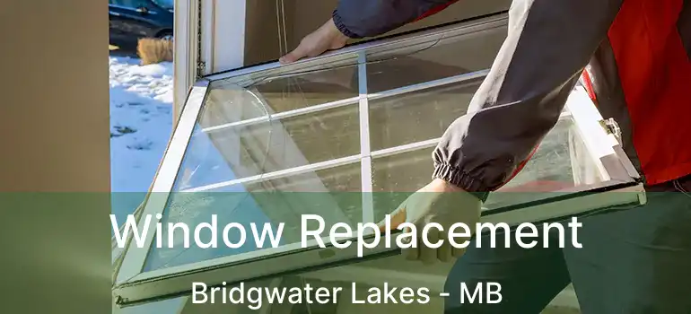 Window Replacement Bridgwater Lakes - MB