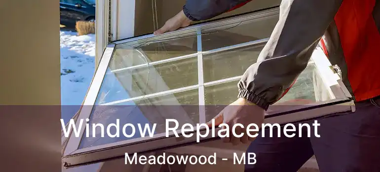 Window Replacement Meadowood - MB