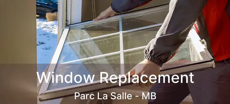  Window Replacement Parc La Salle - MB