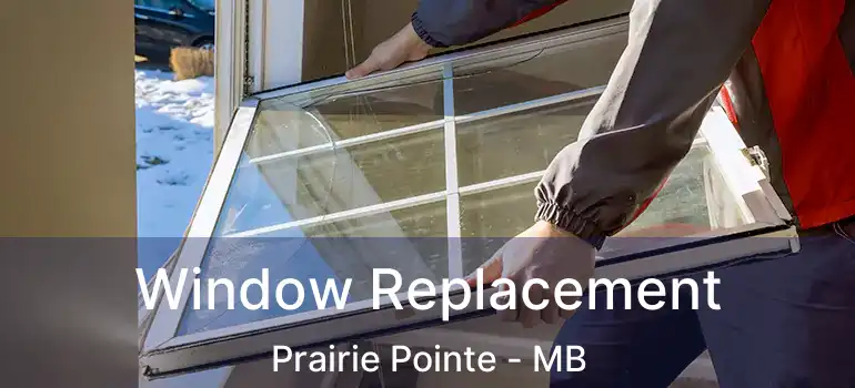 Window Replacement Prairie Pointe - MB