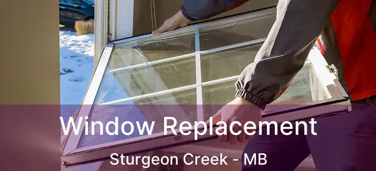  Window Replacement Sturgeon Creek - MB