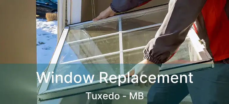 Window Replacement Tuxedo - MB