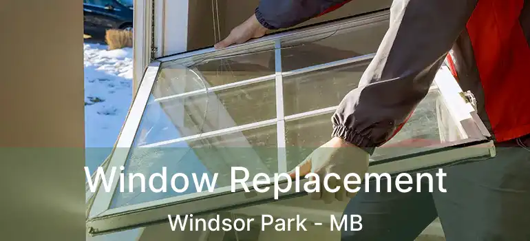  Window Replacement Windsor Park - MB