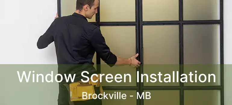 Window Screen Installation Brockville - MB
