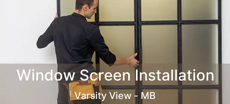 Window Screen Installation Varsity View - MB
