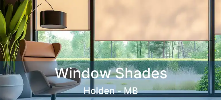 Window Shades Holden - MB