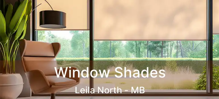  Window Shades Leila North - MB