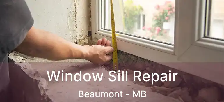 Window Sill Repair Beaumont - MB