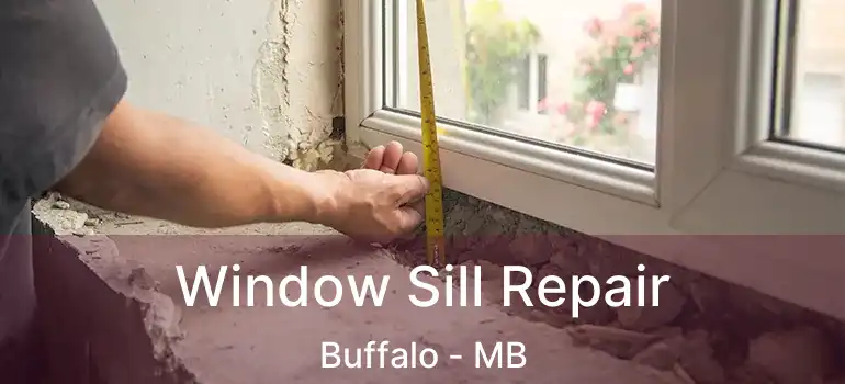  Window Sill Repair Buffalo - MB