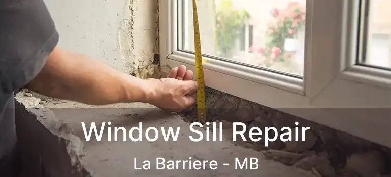 Window Sill Repair La Barriere - MB