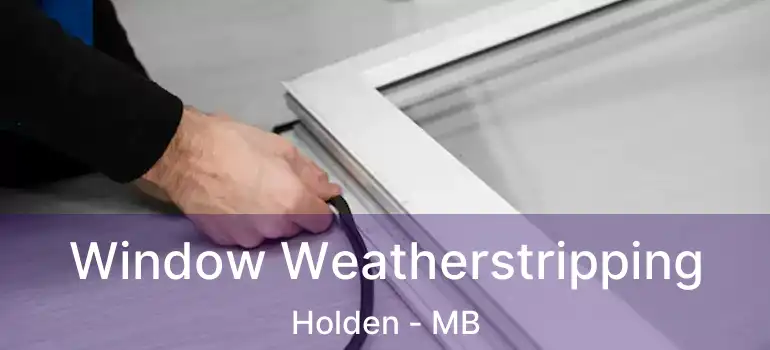 Window Weatherstripping Holden - MB