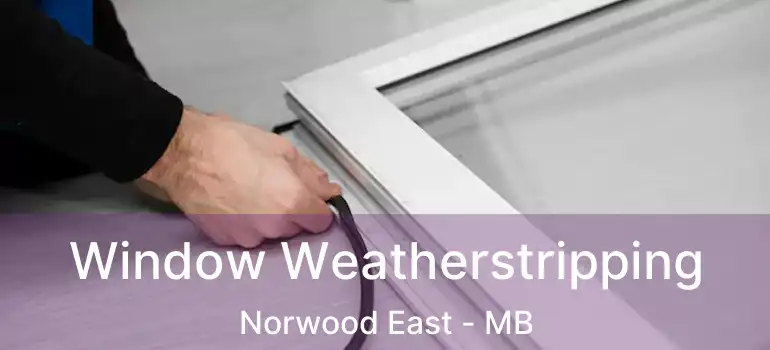 Window Weatherstripping Norwood East - MB