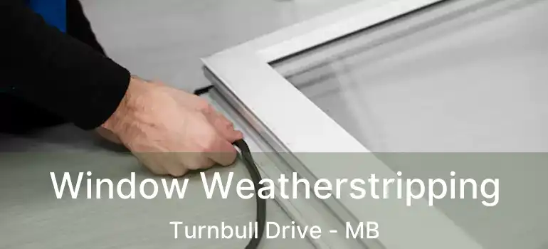 Window Weatherstripping Turnbull Drive - MB