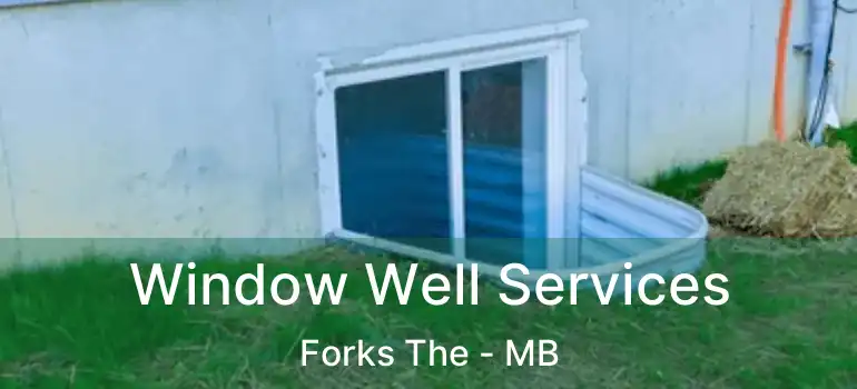  Window Well Services Forks The - MB