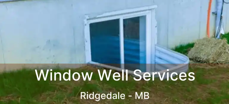 Window Well Services Ridgedale - MB