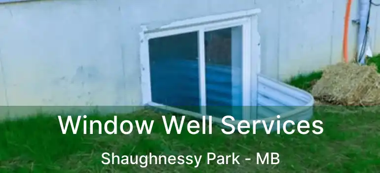 Window Well Services Shaughnessy Park - MB
