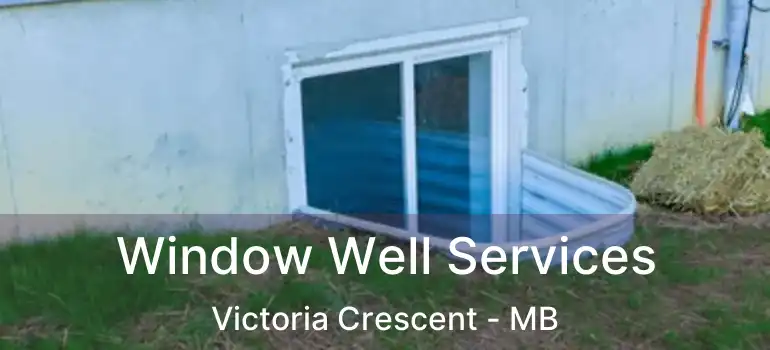 Window Well Services Victoria Crescent - MB