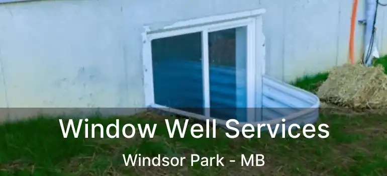  Window Well Services Windsor Park - MB
