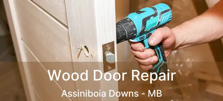  Wood Door Repair Assiniboia Downs - MB