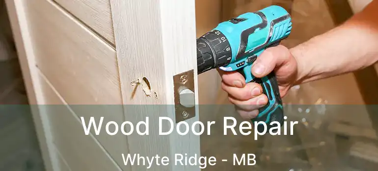  Wood Door Repair Whyte Ridge - MB
